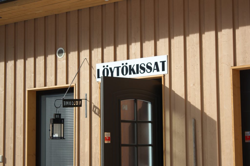 löytökissatulkoa