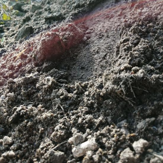 WhatsApp Image 2020-08-06 at 10.25.03 (1)