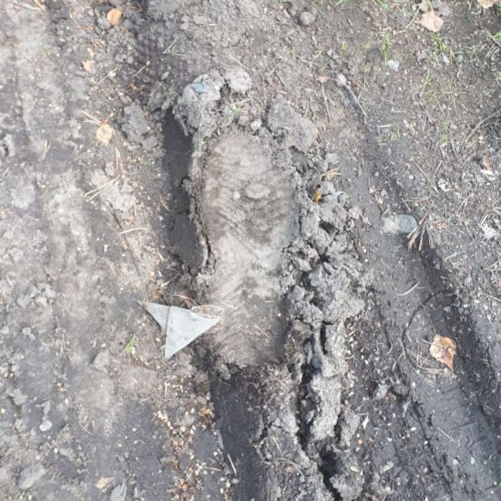 WhatsApp Image 2020-08-06 at 10.25.05